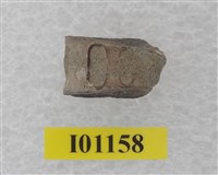 藏品(魚骨)的圖片